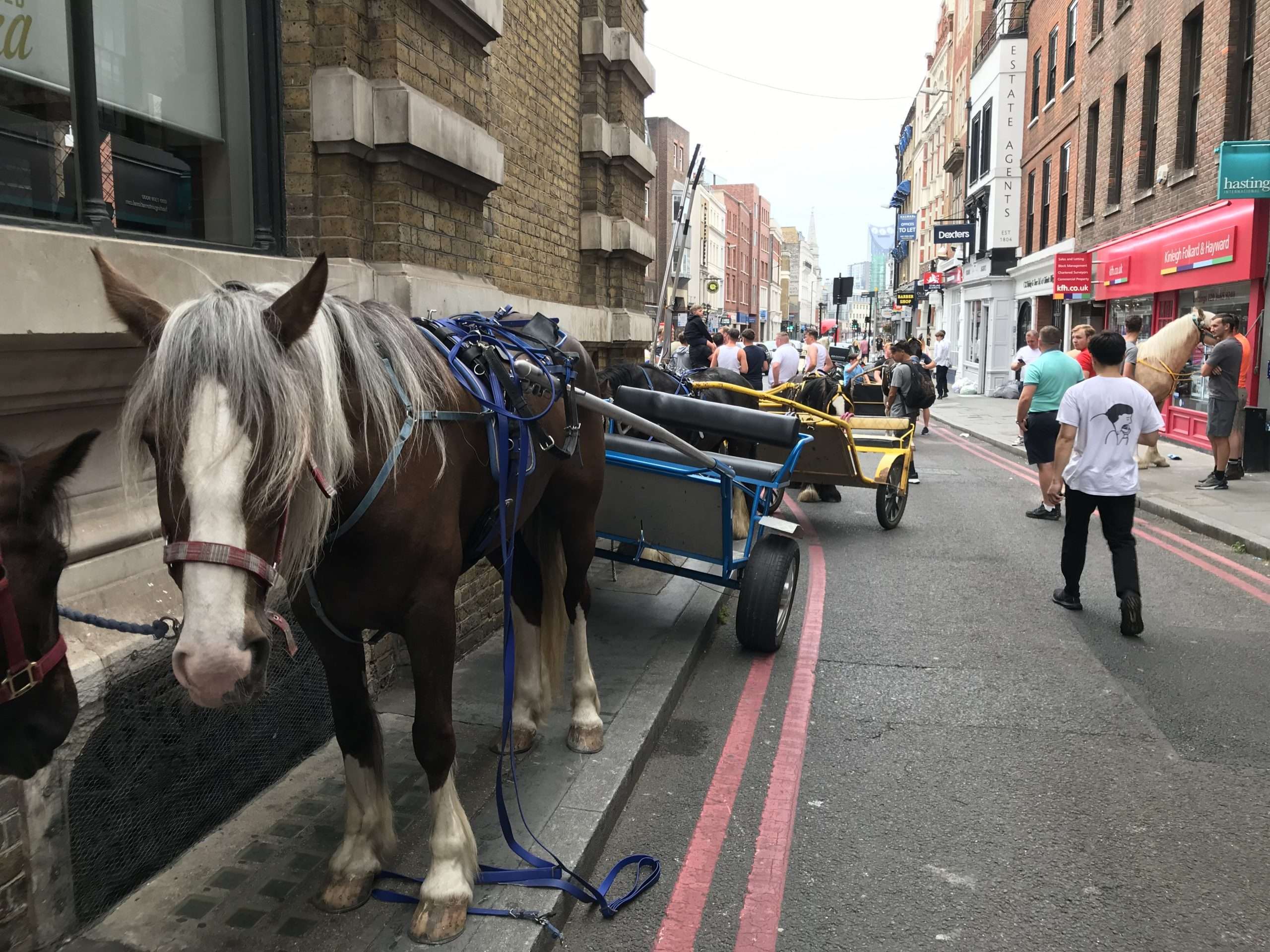 Horses on Borough High Street as part of The London Drive