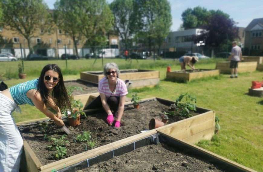 A Bermondsey estate has a new community garden