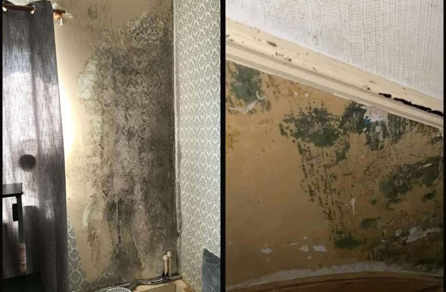 ‘Who would want to house swap into my mouldy flat?’ says mum-of-three from Bermondsey