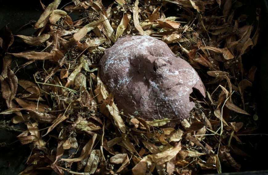 Masks Gather at Tension Fine Art