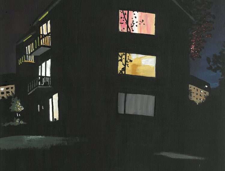 The Darren Hayman Exhibition