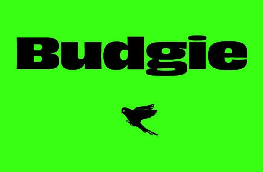 Budgie Tickets For Peckham Residents