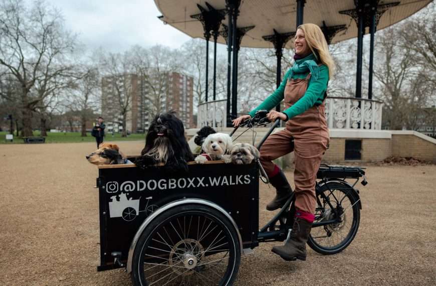 Have you spotted the puppies in a box riding around Bermondsey?