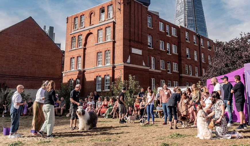 The Best Bermondsey Pooches are back for a further year