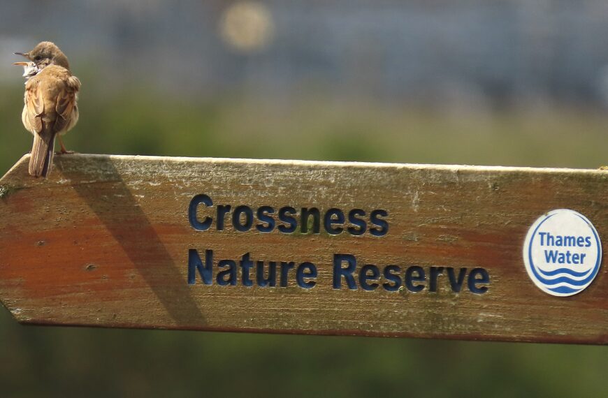 Fundraiser to challenge plans to build carbon capture plants on Crossness Nature Reserve