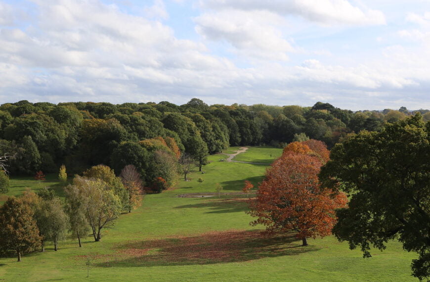 Lewisham’s green parks win awards