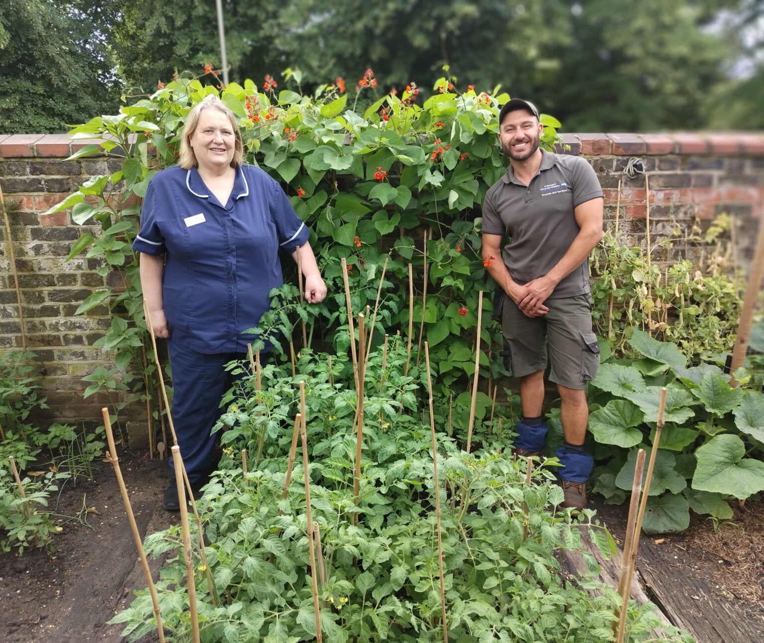 south-london-hospital-to-open-new-sensory-garden-to-help-dementia