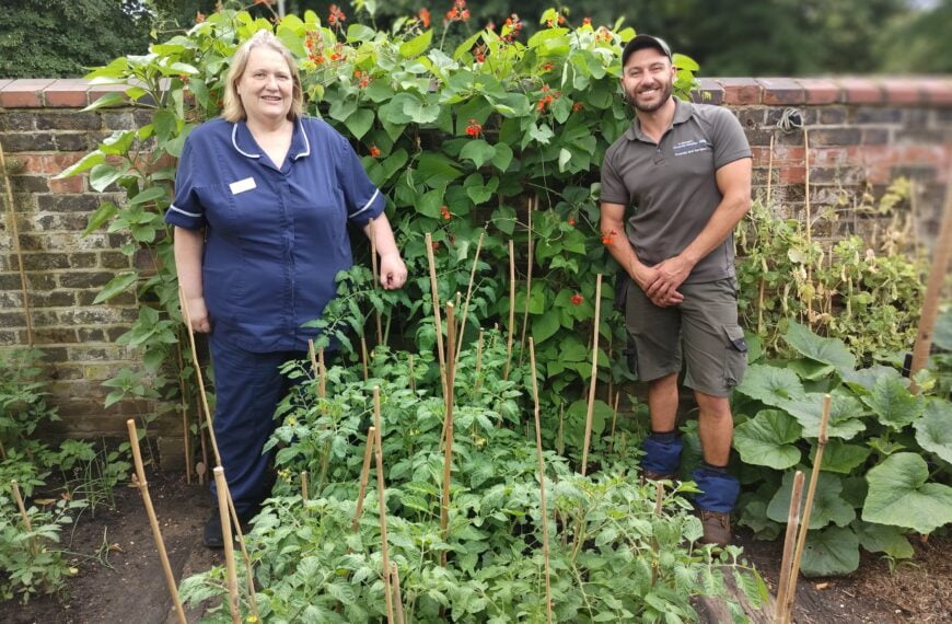 South London hospital to open new sensory garden to help dementia patients