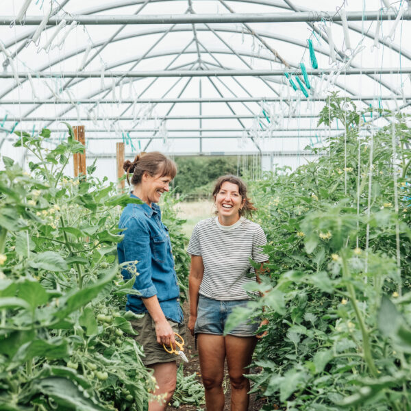 Farming in Shooters Hill – and it all started with the founder growing things on her window ledge