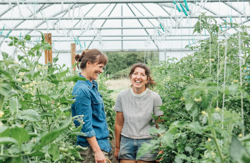 Farming in Shooters Hill – and it all started with the founder growing things on her window ledge