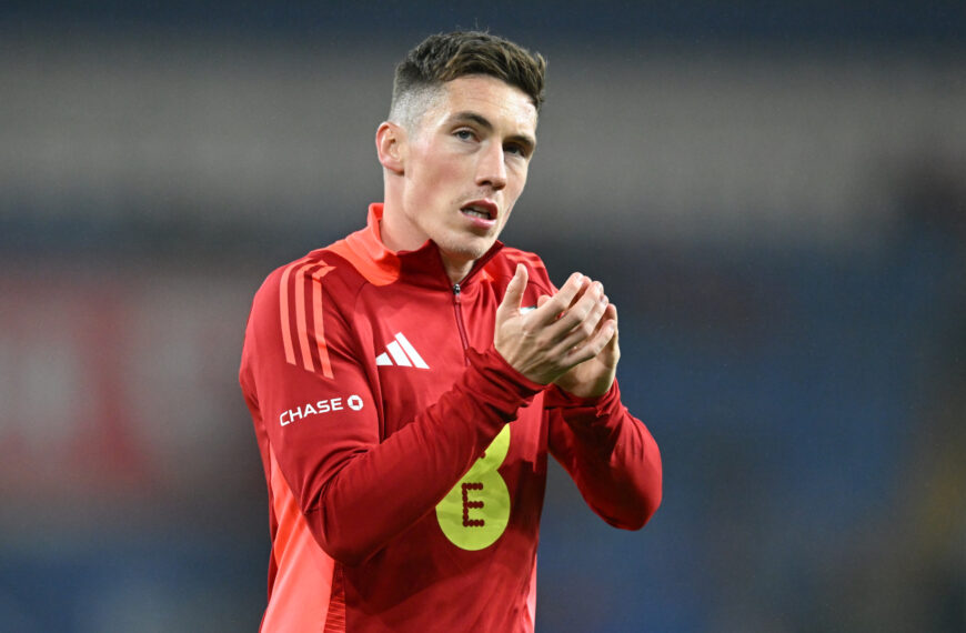 Wales boss heaps praise on Fulham midfielder Harry Wilson – after he matches Gareth Bale scoring streak