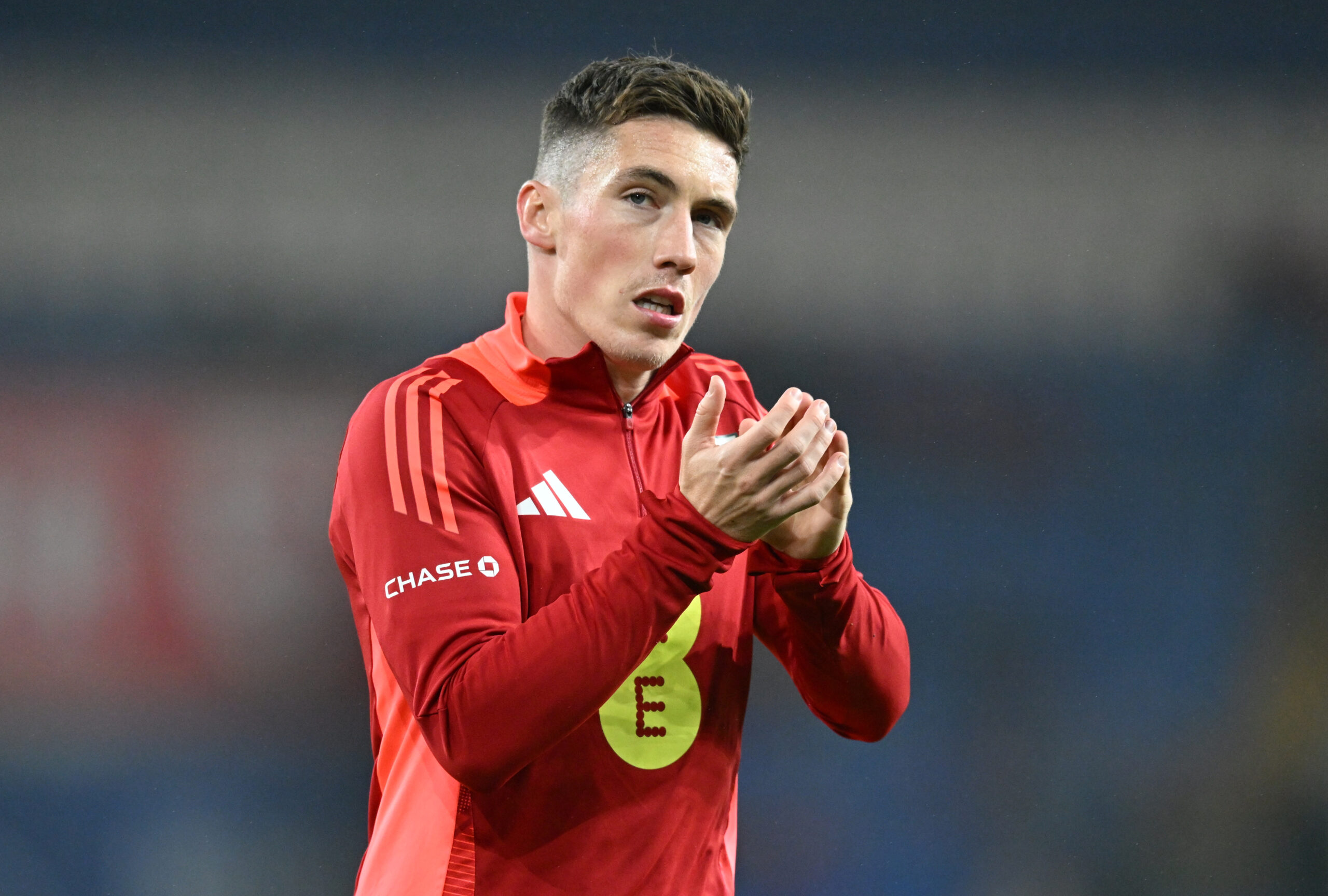 Wales boss heaps praise on Fulham midfielder Harry Wilson – after he matches Gareth Bale scoring streak