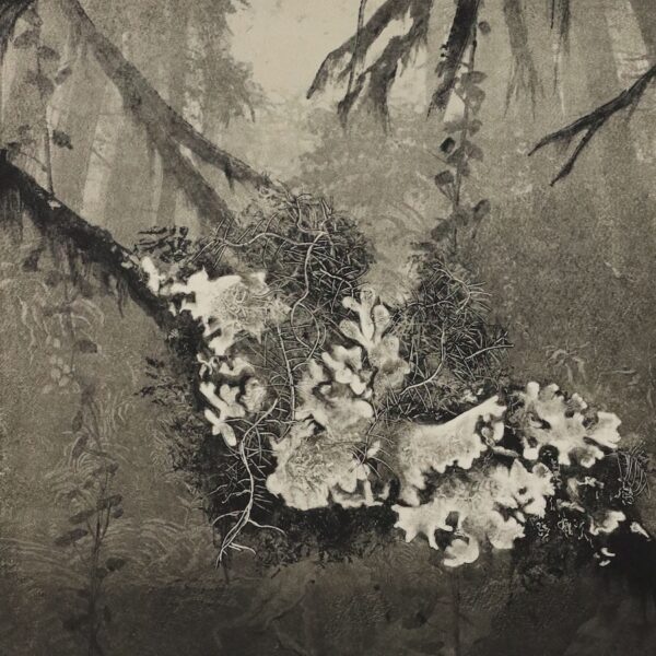 “Sleeping in the Forest”