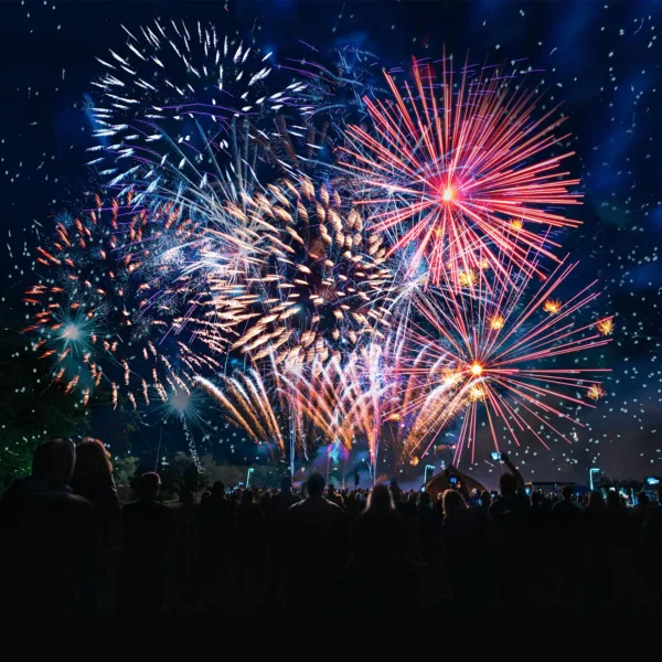 Alexandra Palace fireworks events firm bids to host show for up to 29,999 people in Blackheath