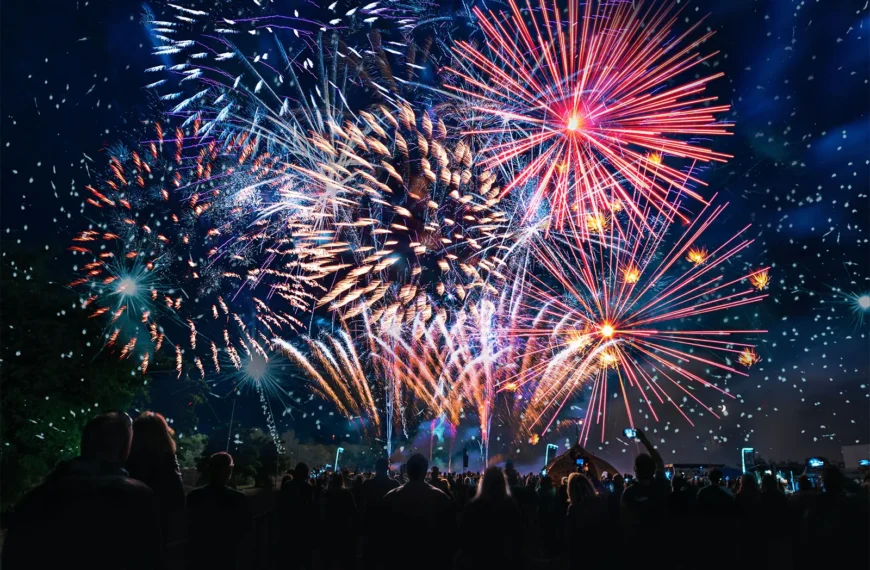 Alexandra Palace fireworks events firm bids to host show for up to 29,999 people in Blackheath