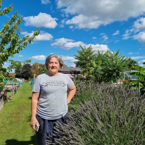 Allotment holders ‘blindsided’ after council cut down four mature apple trees on long-standing plot