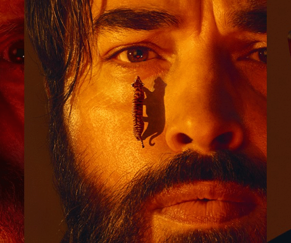 Bengal Tiger at the Baghdad Zoo 