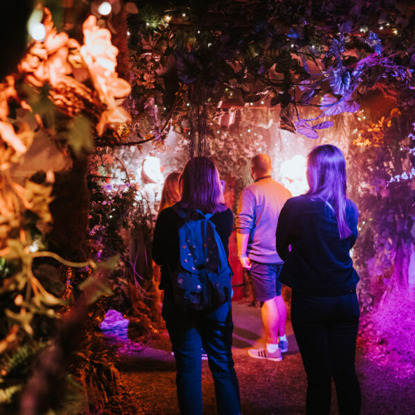 Review: The Muppet Christmas Carol at Backyard Cinema