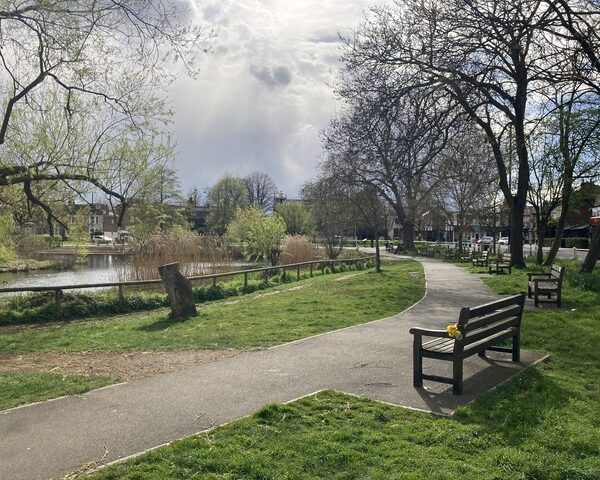 Parks set to host more festivals, open-air cinema and outdoor theatre