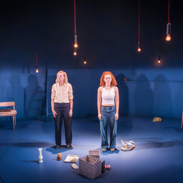 Review: Evening All Afternoon at Donmar Warehouse
