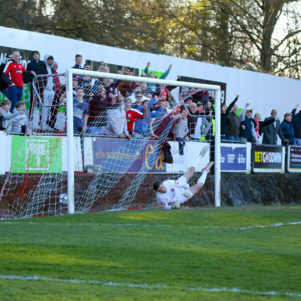 On-loan striker fires Welling United to crucial victory ahead of Isthmian League Premier Division relegation six-pointer