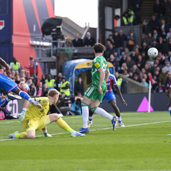 Eagles poacher steals it from Magpies: Crystal Palace come from behind to pile pressure on Newcastle United boss