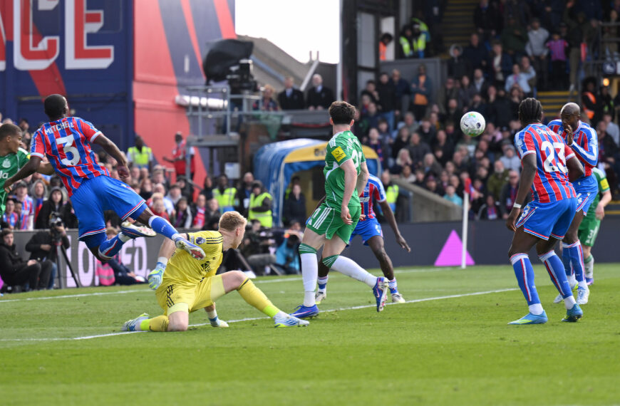 Eagles poacher steals it from Magpies: Crystal Palace come from behind to pile pressure on Newcastle United boss
