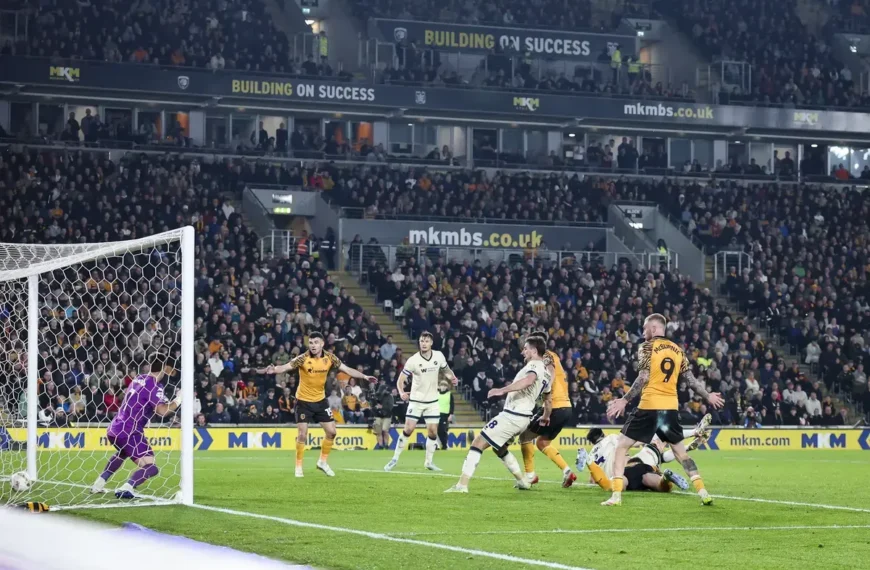 On the Ward path: Hull City and Millwall bosses disagree as Lions supporters’ nemesis has decisive say again