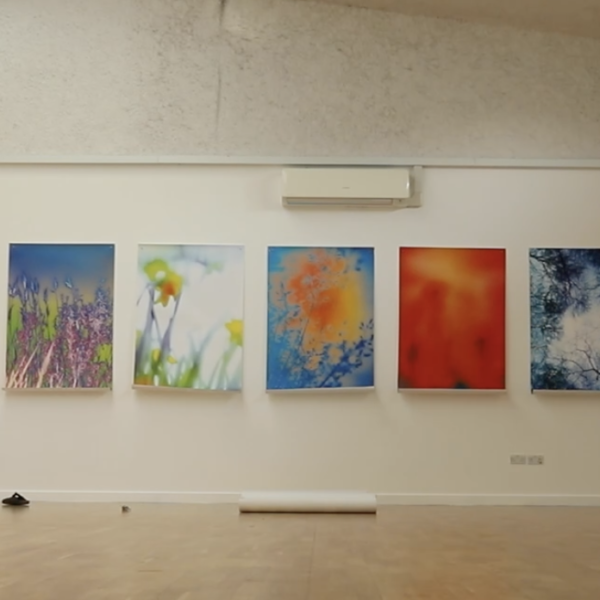 Flower’s On The Wall