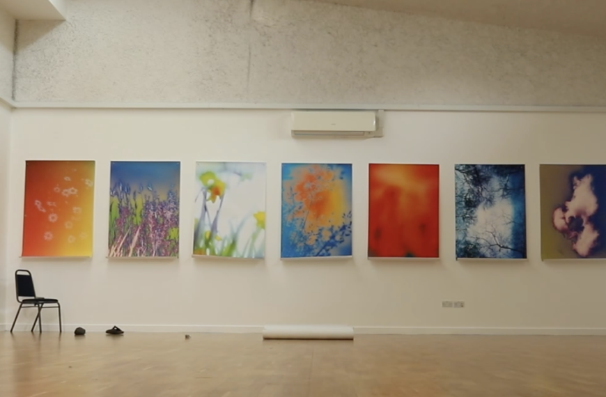 Flower’s On The Wall