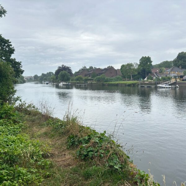Fears over ‘toxic algae’ in first official Thames bathing site