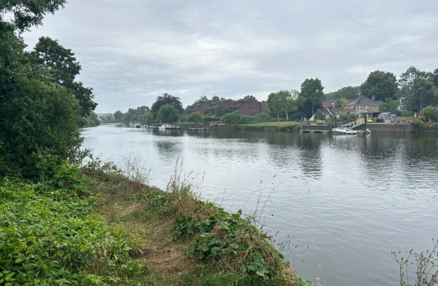Fears over ‘toxic algae’ in first official Thames bathing site