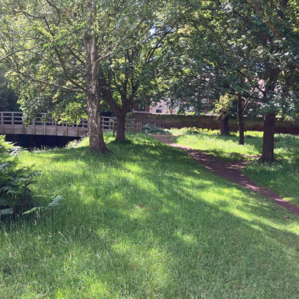 Richmond Park river to see restoration works to boost wildlife