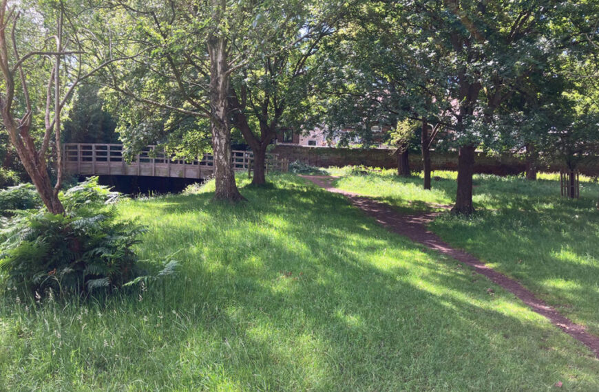 Richmond Park river to see restoration works to boost wildlife