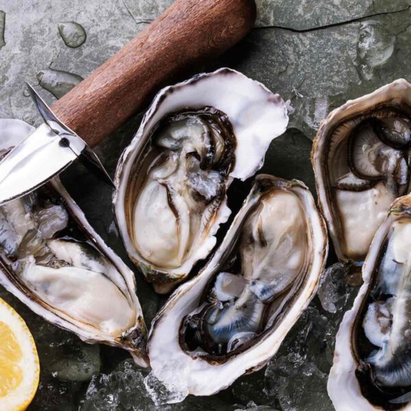 National Oyster Day in St Katharine Docks