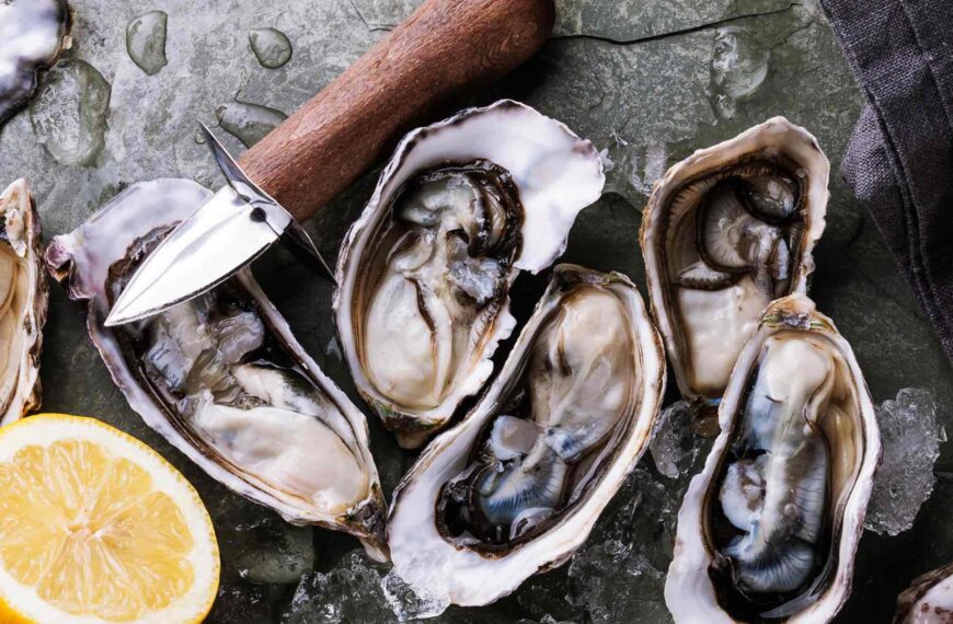 National Oyster Day in St Katharine Docks