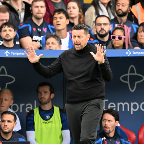 Resilient point at Leeds United can be key moment for Crystal Palace boss – who is showing he can identify and fix problems